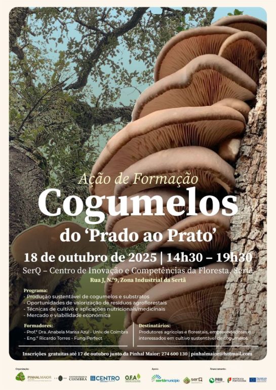 Cogumelos – do Prado ao Prato