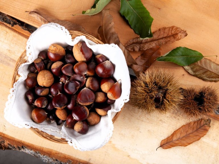 Castanhas, outono