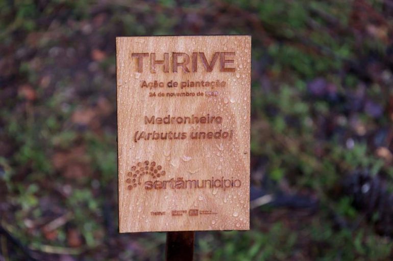 Sertã Projeto THRIVE