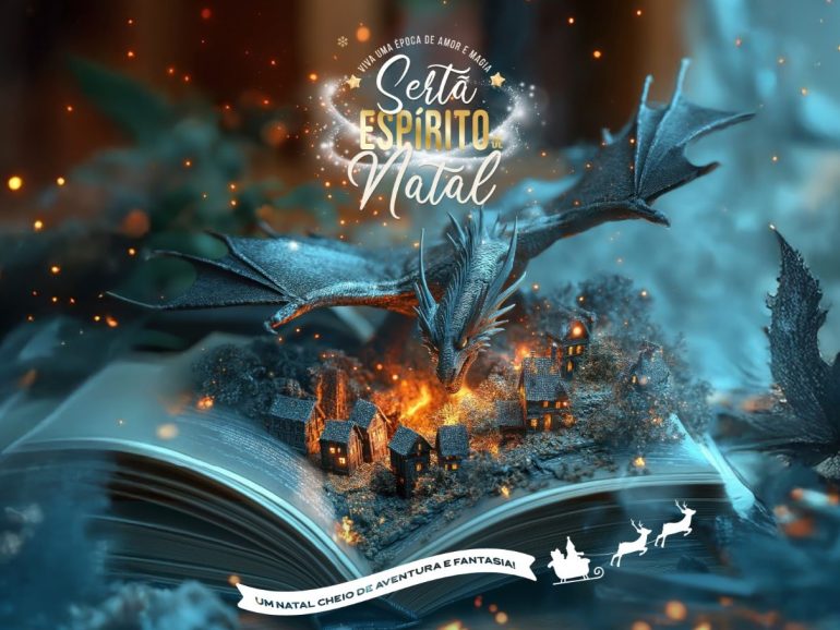 Feira do Livro de Natal Sertã