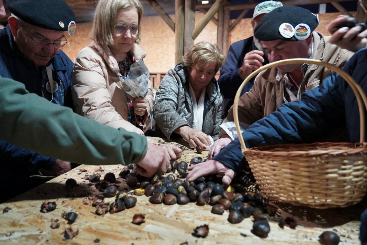 Mostra de Frutos de Outono Oleiros