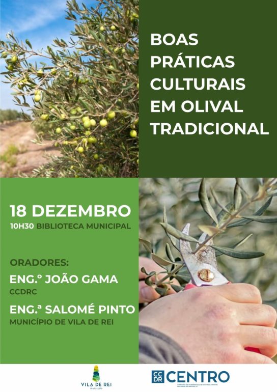 Boas Práticas Culturais Olival Tradicional Vila de Rei