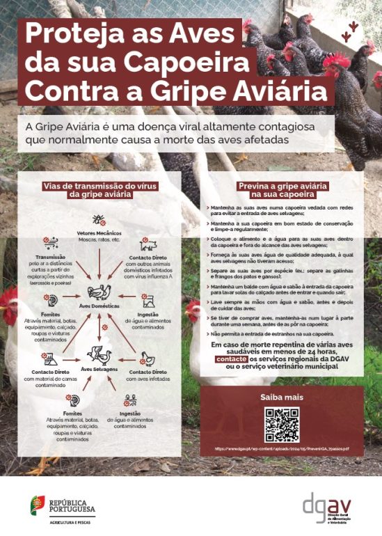 gripe das aves DGAV