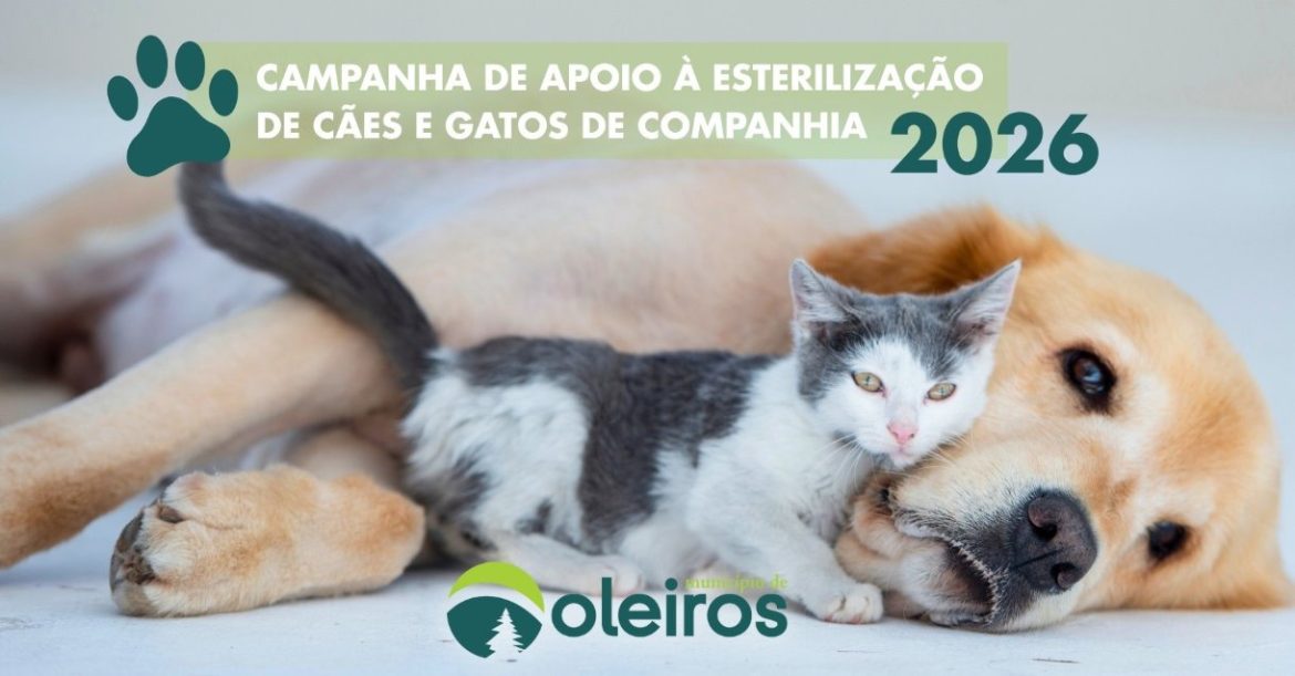esterilização de animais Oleiros