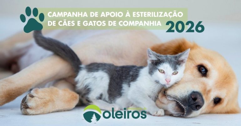 esterilização de animais Oleiros