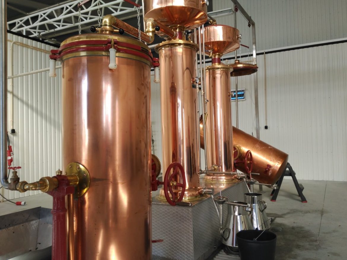 Destilaria de Vila de Rei campanha 2026