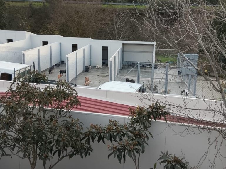 Centro de Recolha Animal de Castelo Branco