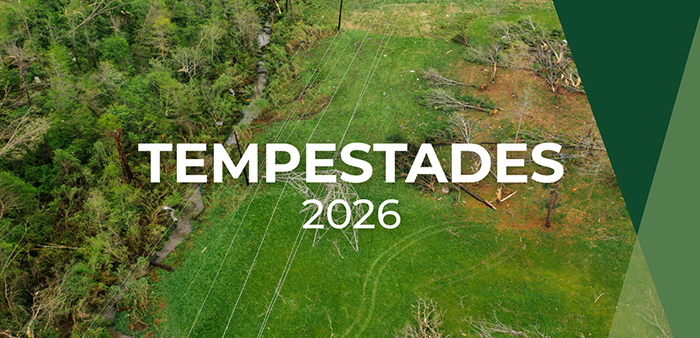 prejuízos agrícolas CCDR Centro