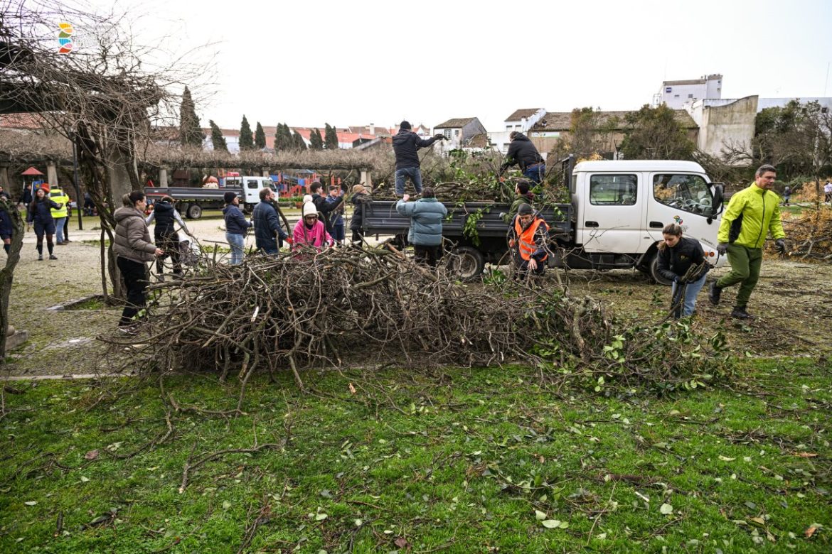voluntariado em Castelo Branco