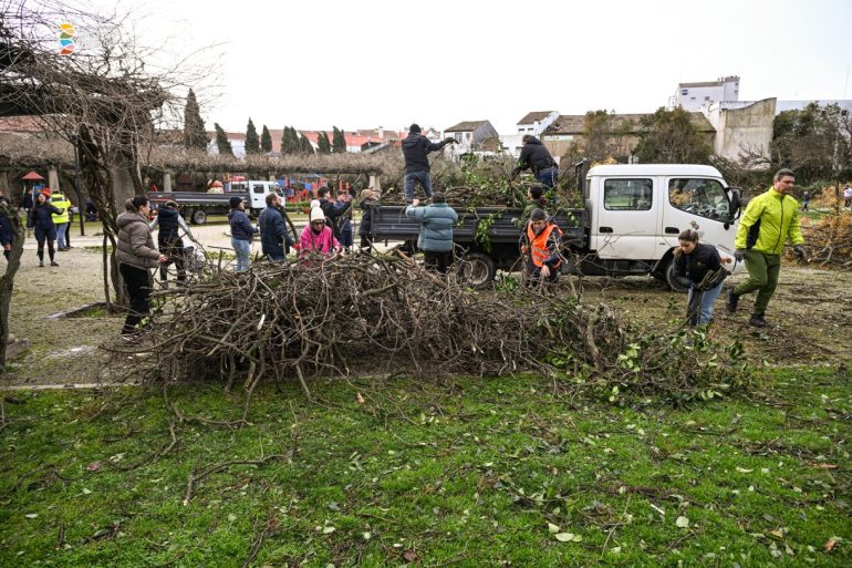 voluntariado em Castelo Branco