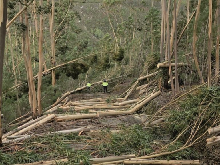 Vila de Rei tempestade Kristin