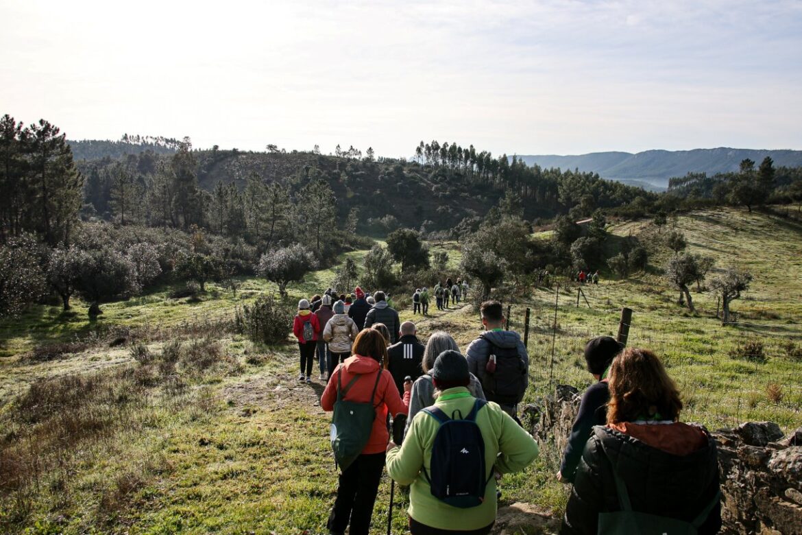 Passeios Pedestres Proença-a-Nova