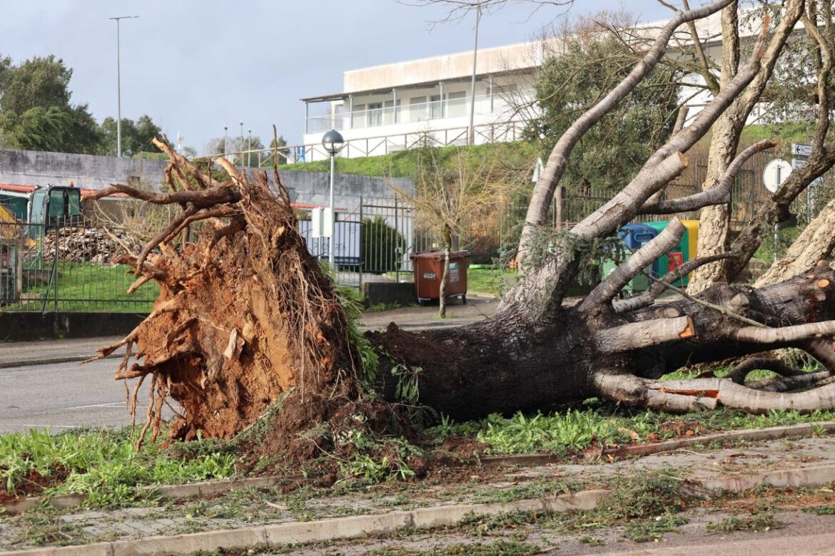 prejuízos tempestade Kristin Sertã