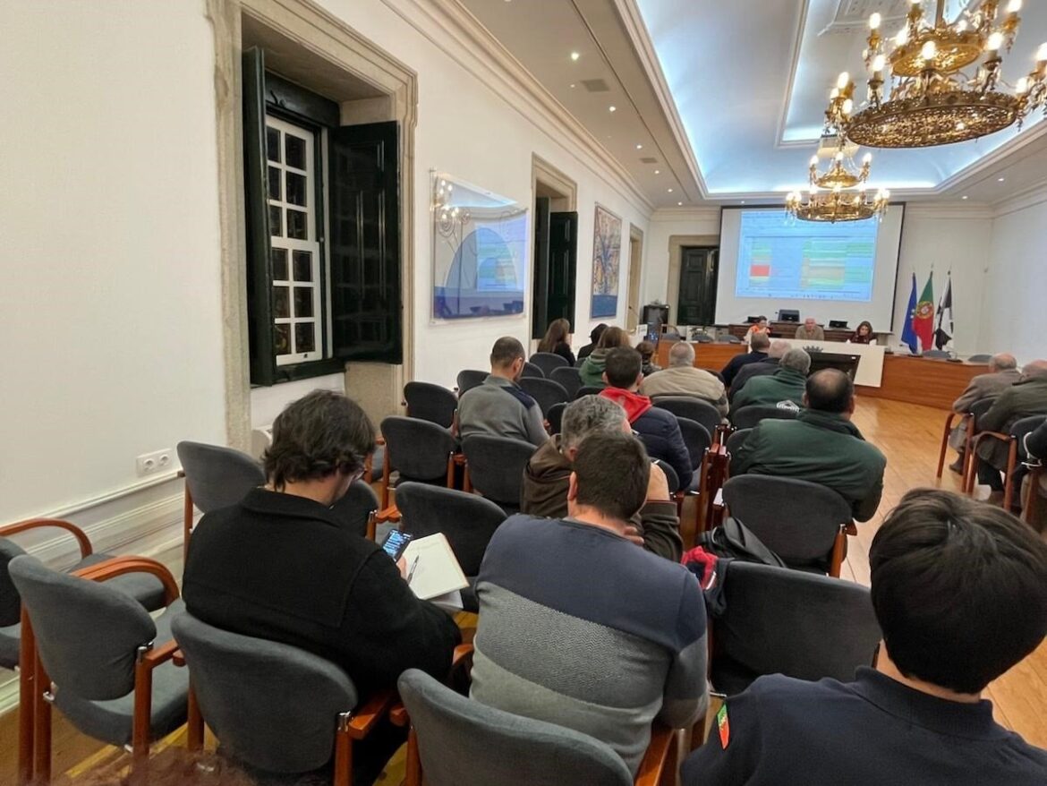 apoios freguesias Castelo Branco tempestade Kristin