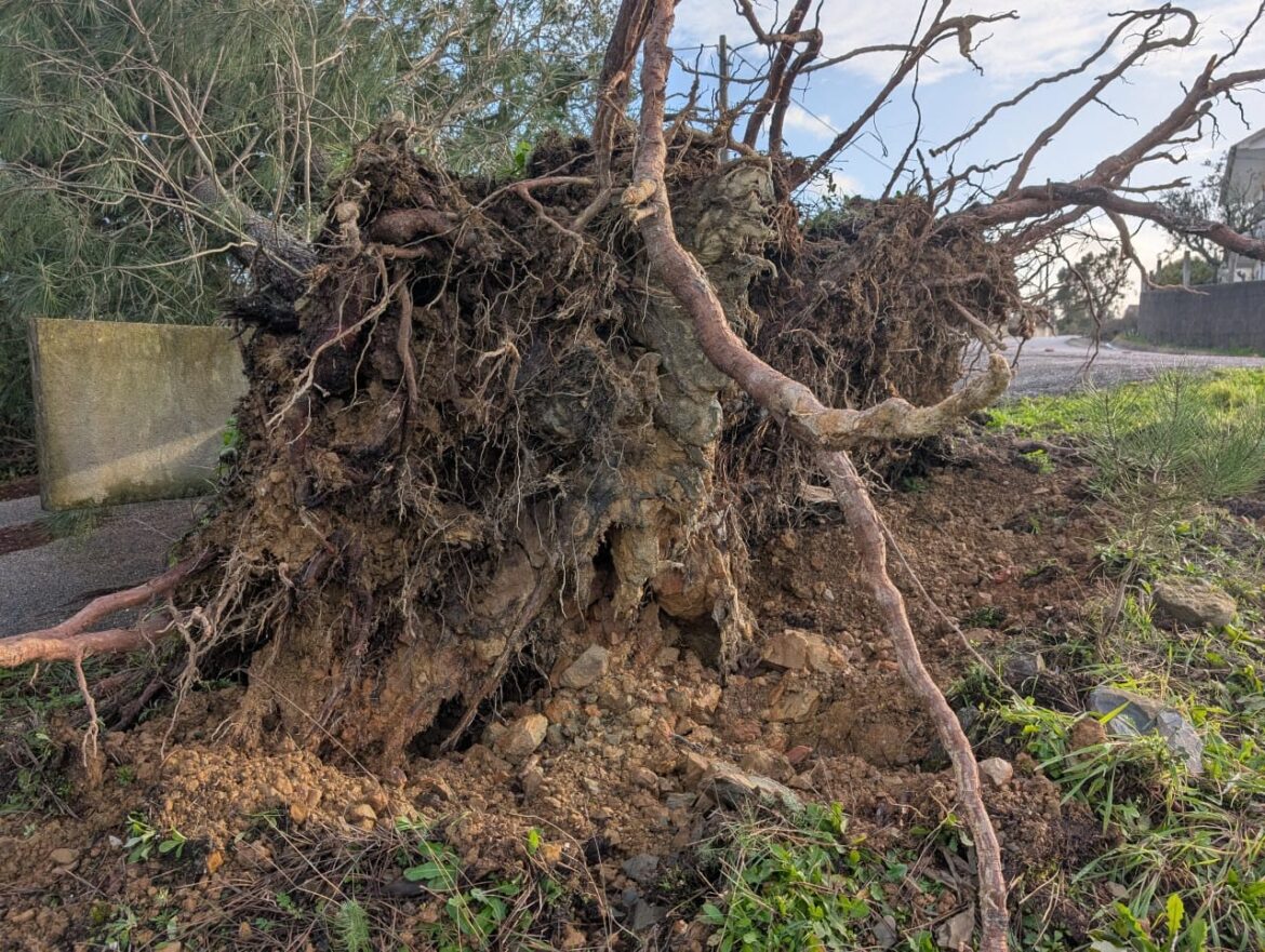 tempestade Kristin Vila de Rei