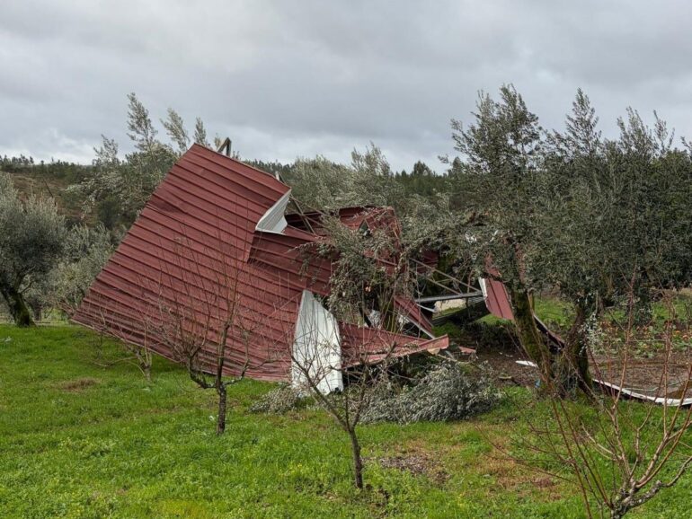 apoios agrícolas Proença-a-Nova