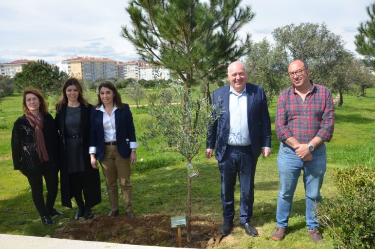 Adote uma Árvore Castelo Branco