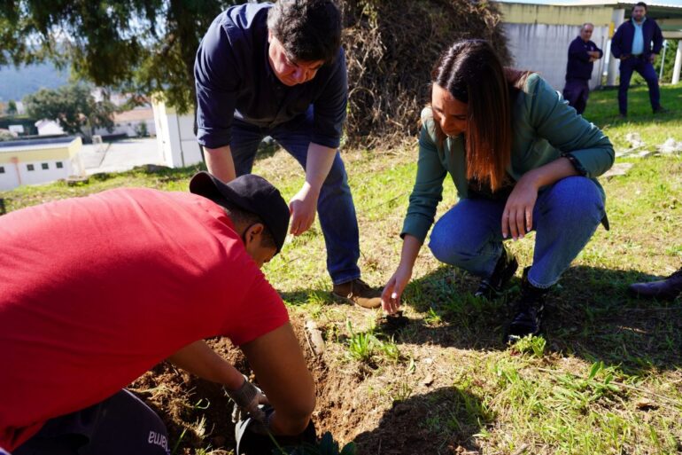 Oleiros Dia Mundial da Árvore 2026