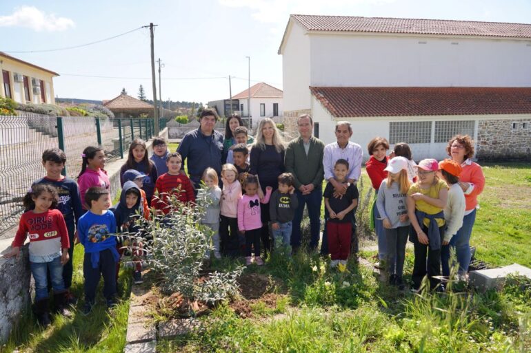 Oleiros Dia Mundial da Árvore 2026