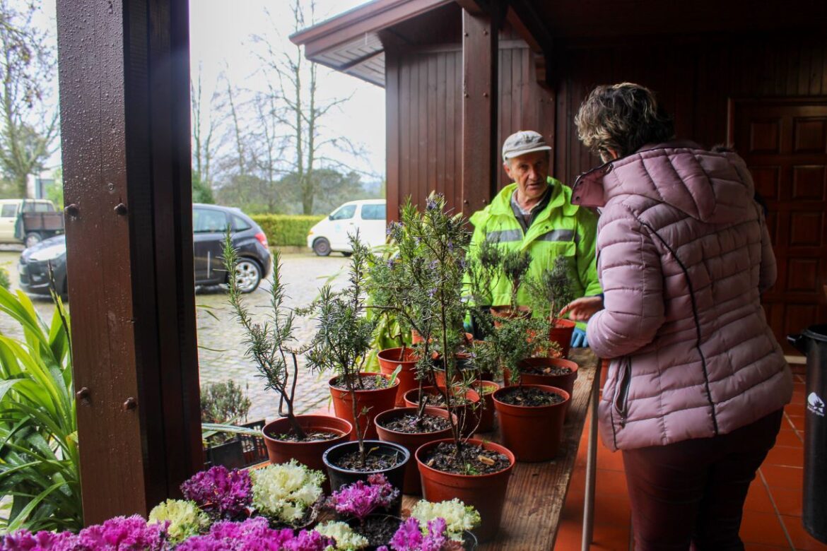Troque Resíduos por Plantas Proença-a-Nova