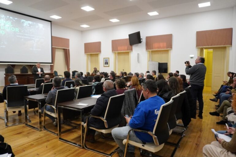 incentivos empresariais Sertã