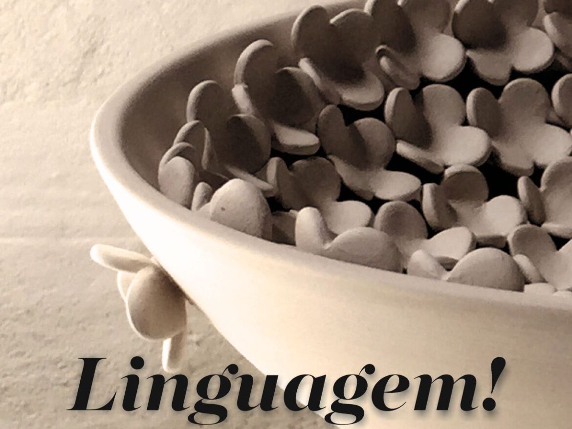 Galeria António Lopes exposição