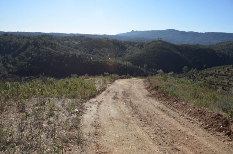 AIGP Castelo Branco consulta pública