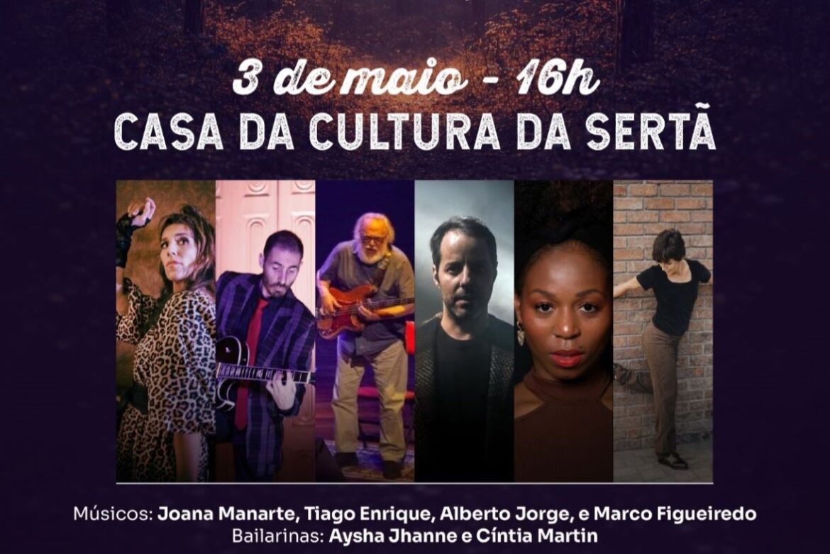 Disco Voador Sertã concerto