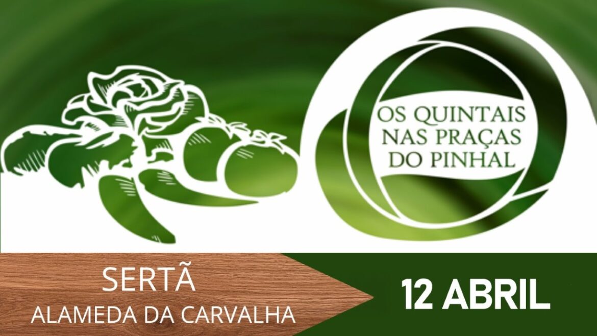 Quintais nas Praças do Pinhal Sertã 2026