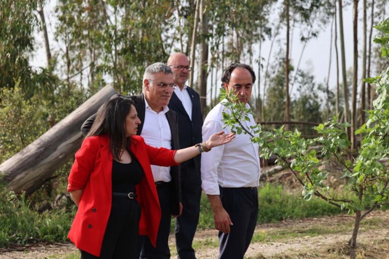 Rui Ladeira Sertã visita florestas