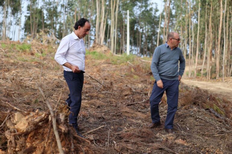 Rui Ladeira Sertã visita florestas