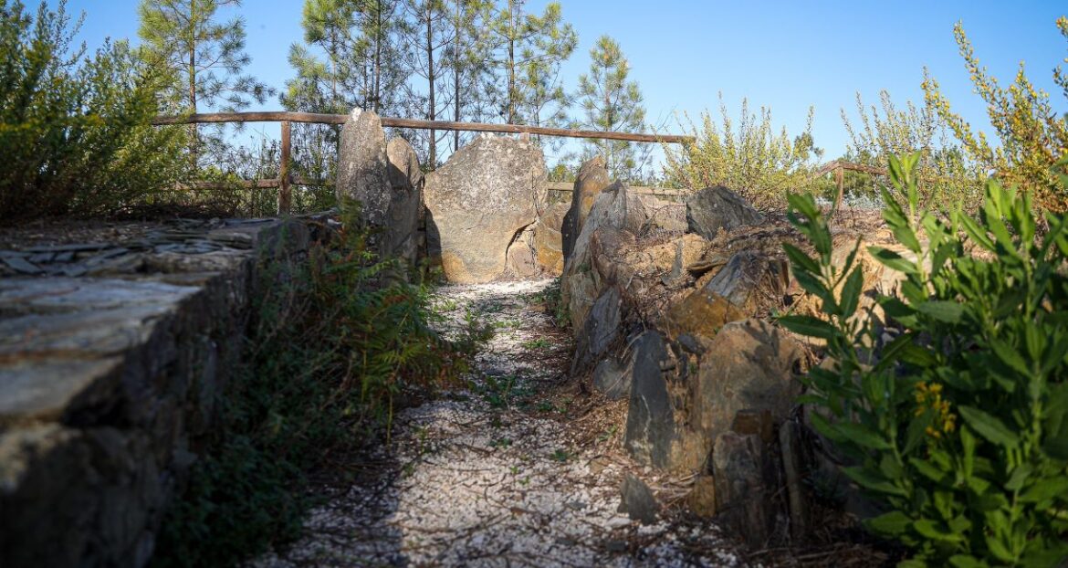 antas Proença-a-Nova