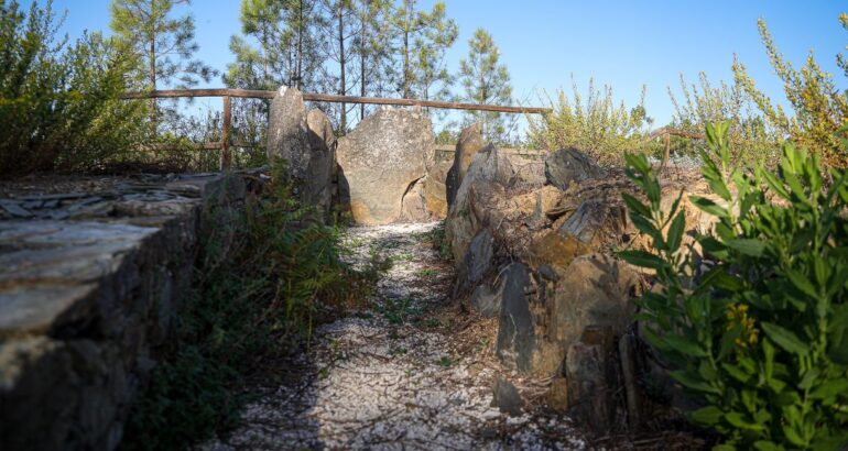 antas Proença-a-Nova