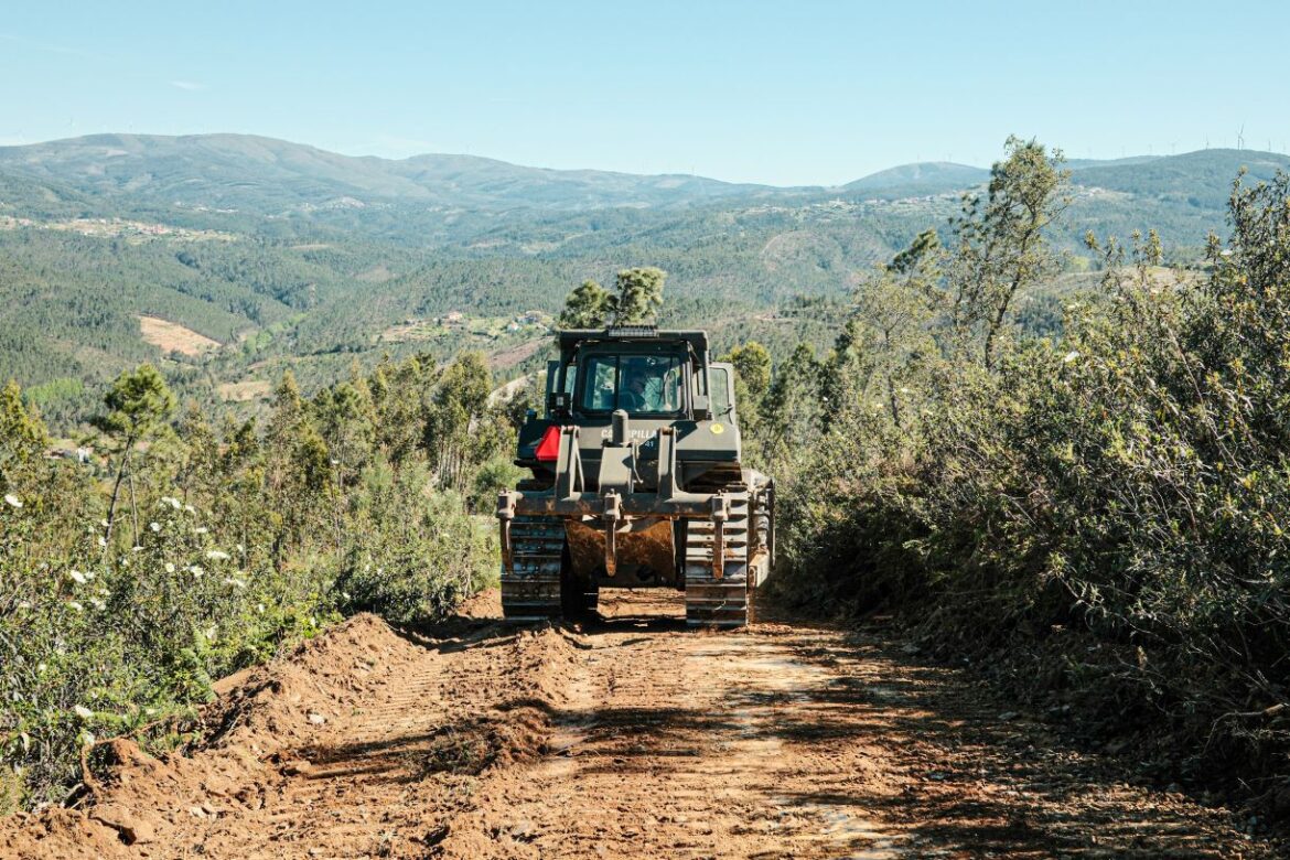 Força Aérea Proença-a-Nova caminhos florestais