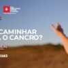 Caminhada solidária da Liga Contra o Cancro integra Troviscal Trail na Sertã