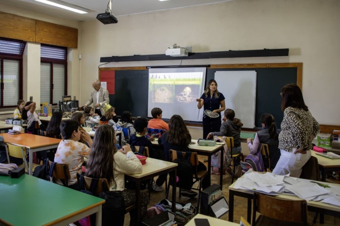 Cientista Regressa à Escola