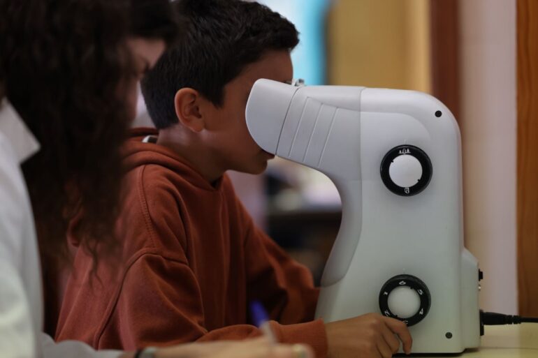 ColorADD Sertã, Agrupamento de Escolas da Sertã