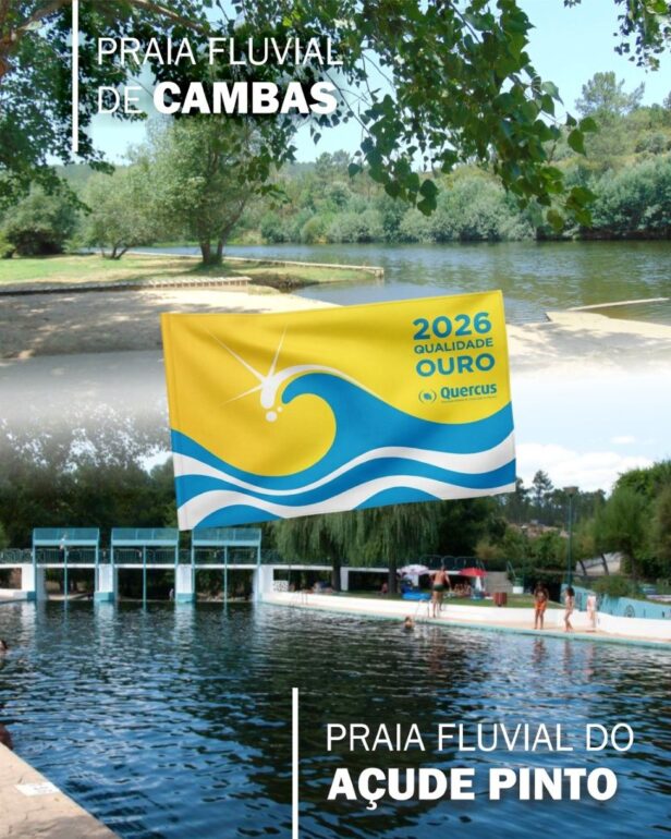 Praia Qualidade de Ouro