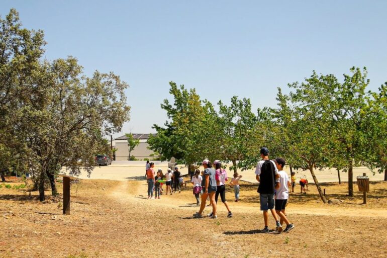 campos de férias Proença-a-Nova 2026