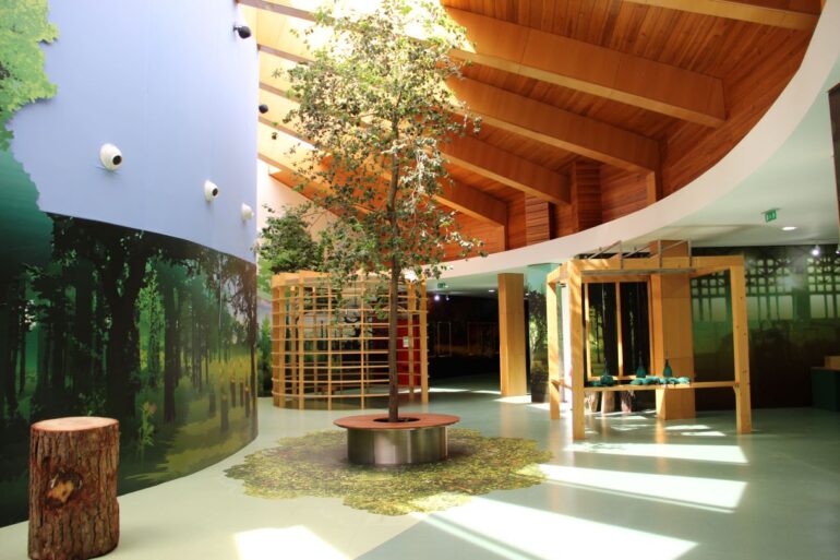 Centro Ciência Viva da Floresta
