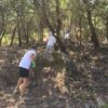 Jovens podem inscrever-se até ao final de junho no projeto “Guardiões da Floresta e da Natureza” em Castelo Branco