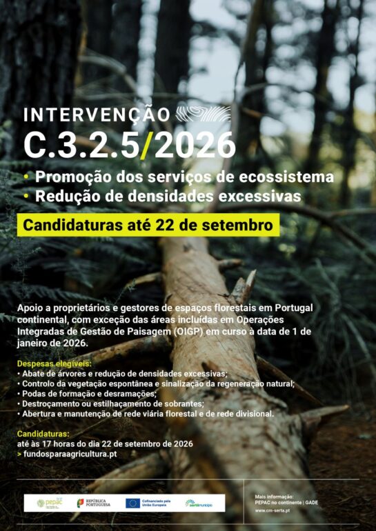 apoio florestal Sertã
