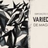 Magda Vaz apresenta exposição “Variedades” em Vila de Rei