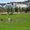 “Patas & Patudos” leva adoção, atividades e diversão ao Parque da Cidade de Castelo Branco