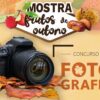 Oleiros desafia residentes e visitantes a fotografar os frutos de outono