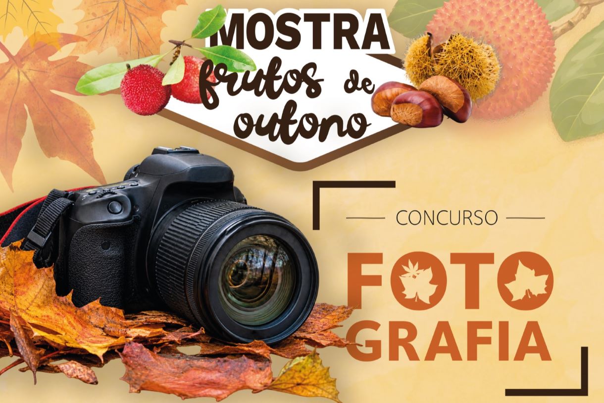 Fundo