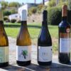 Vinho Alto dos Cucos conquista prémio Escolha da Imprensa 2026